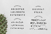 Cactus Garden Solid, a Font by iyhulmonsta (Thumbnail 5 of 8)