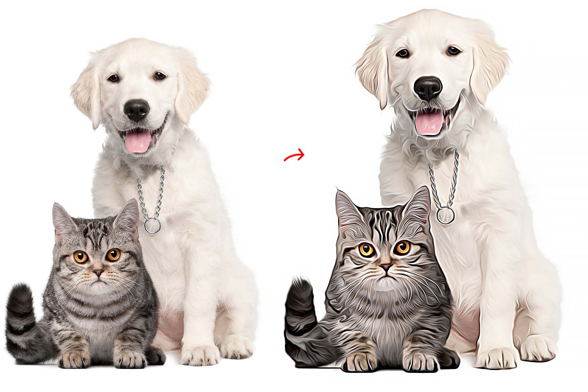 Turn photo into Animal Oil Panting, an Action Add-On by MRI STUDIO (Photo 3 of 9)
