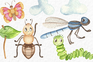 Insect Life. Watercolor Collection.