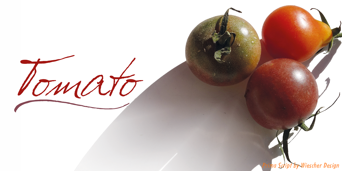 Prima Script, a Script Font by Wiescher-Design (Photo 6 of 10)