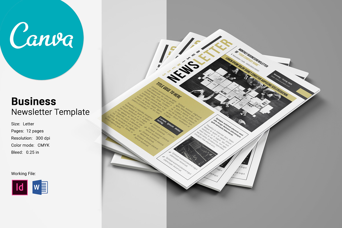 Business Newsletter Template, a Brochure Template by crazyOWL
