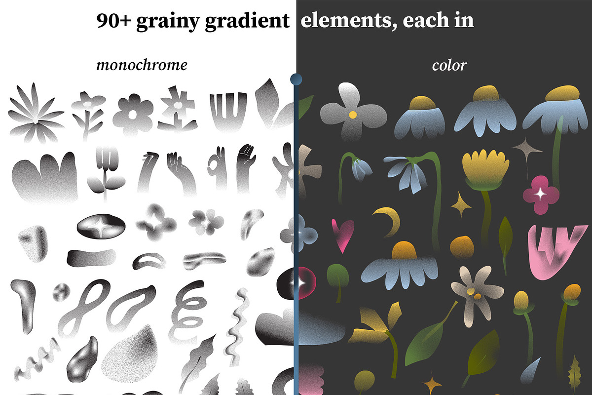 Tender Forms: Grainy Botanical Art, an Object Graphic by Elena Choo (Photo 11 of 12)