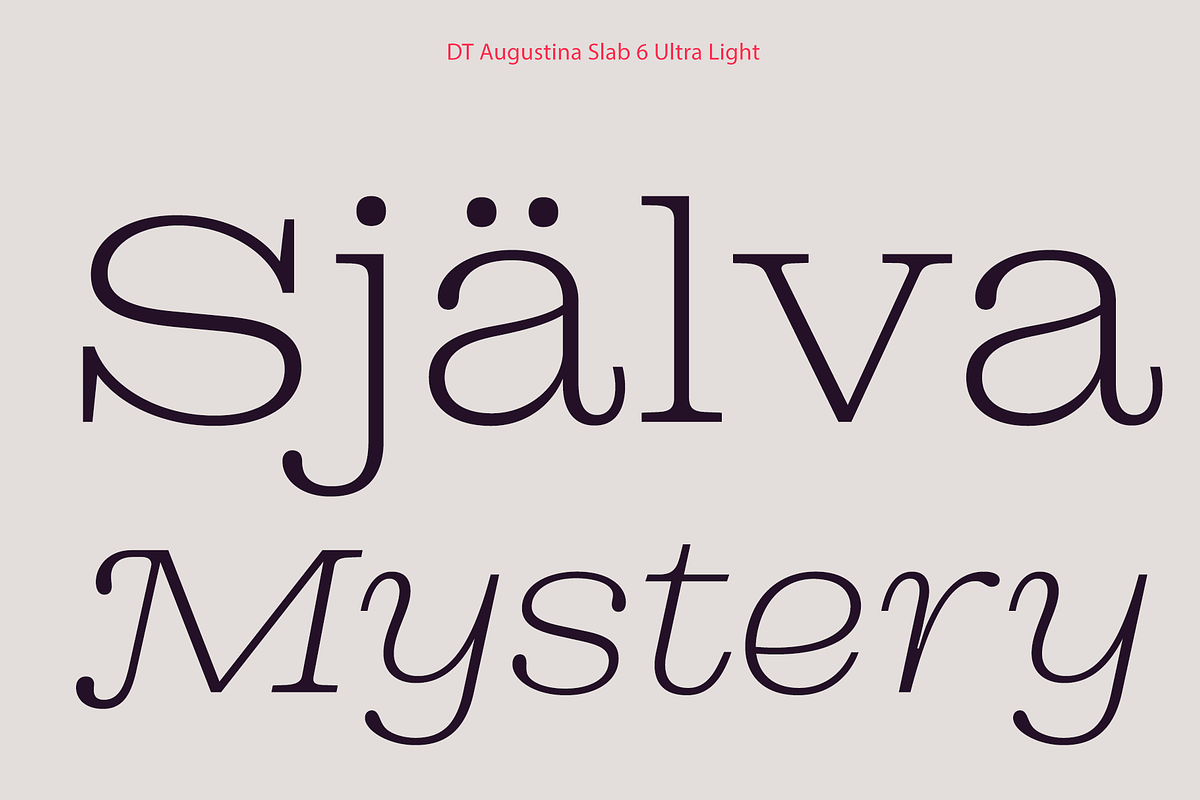 DT Augustina Slab 6 Subfamily, a Slab Serif Font by Deveze Type Foundry (Photo 3 of 30)