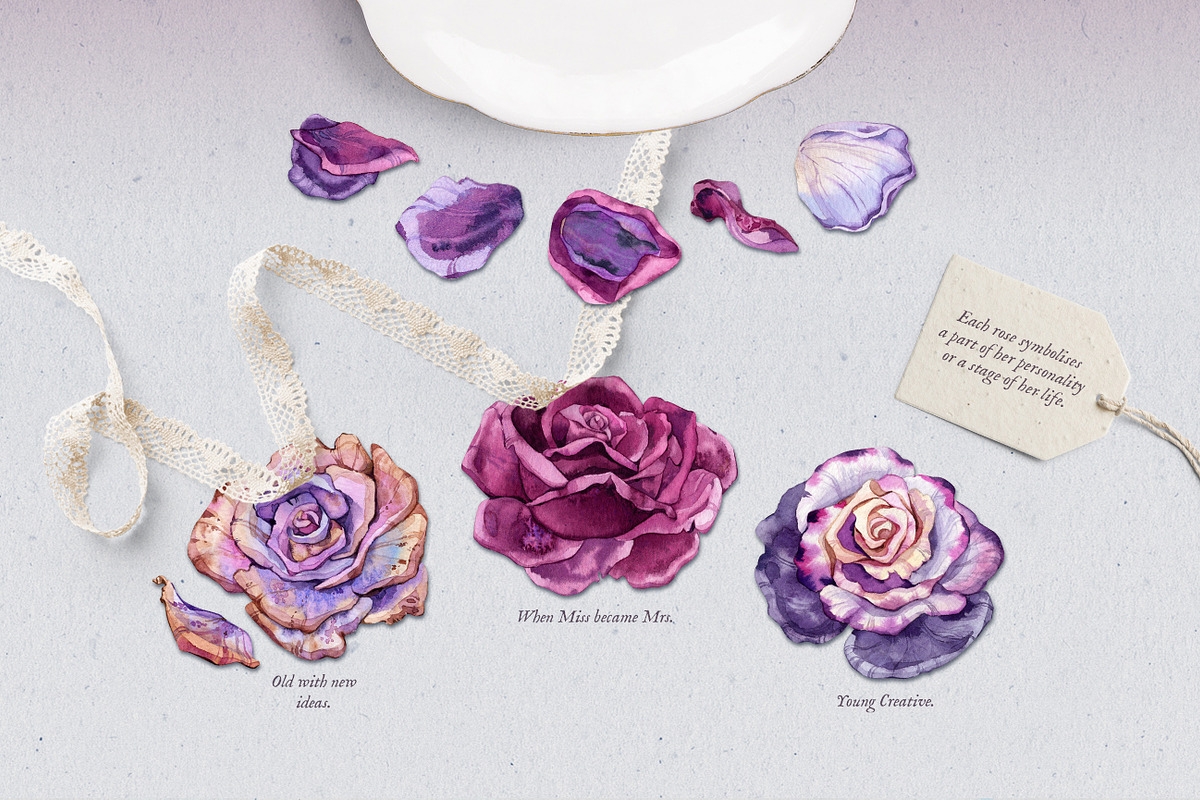Purple Roses - Watercolour Clipart, a Decorative Illustration by Aquarellina (Photo 4 of 14)