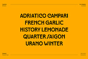 Brillante Typeface, a Serif Font by ManuelRosin (Thumbnail 4 of 19)