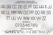 Charming Chunky, a Sans Serif Font by FreshTypeINK (Thumbnail 7 of 8)