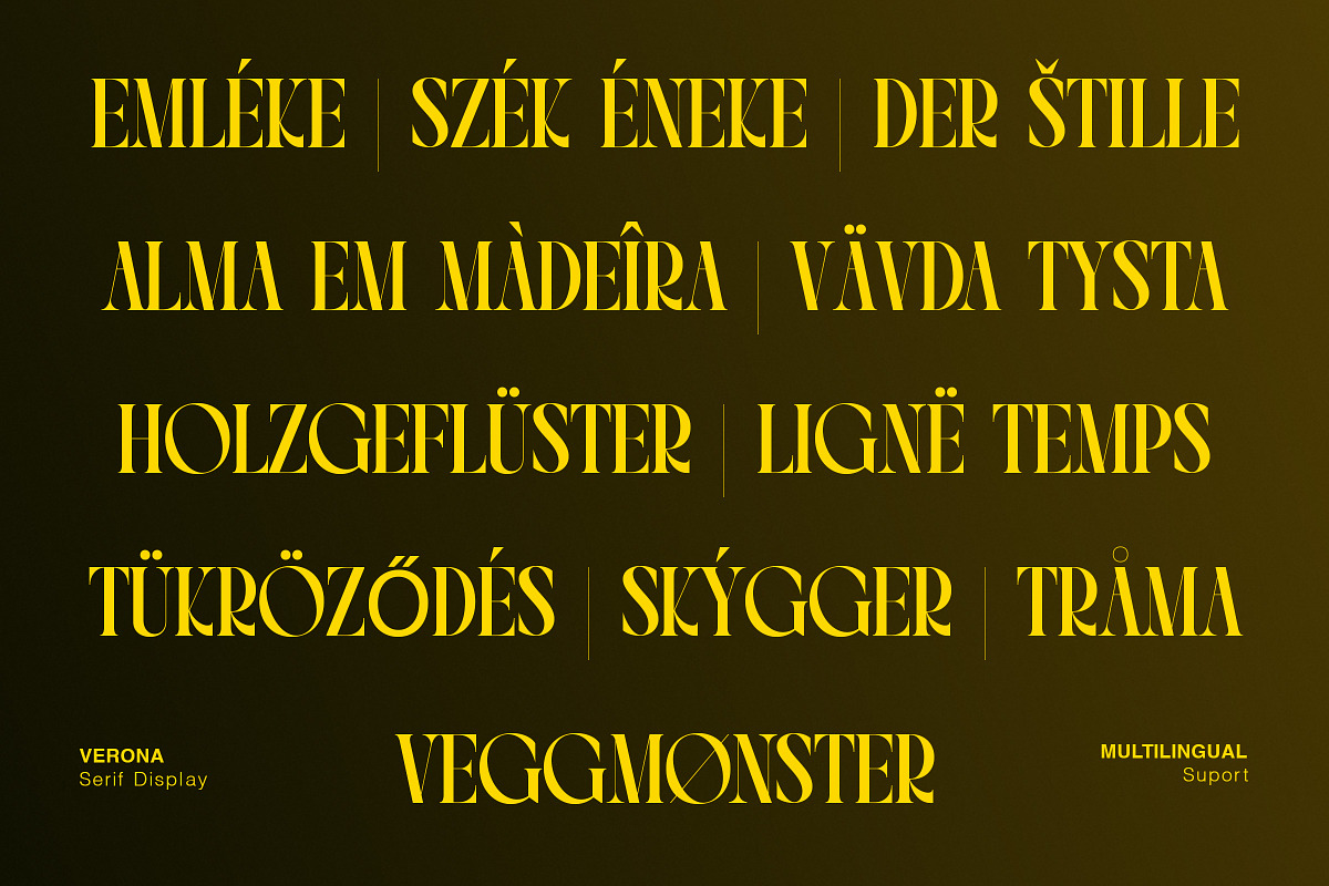 VERONA - Vintage Classic Serif, a Serif Font by The_Type (Photo 8 of 12)