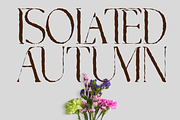 MARITIME HERITAGE - VINTAGE FONT, a Serif Font by 177Studio (Thumbnail 2 of 8)