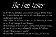 Silver Point–Elegant Editorial Serif, a Serif Font by Issam Type (Thumbnail 19 of 21)