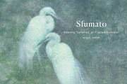 Sfumato Organic Textured Backgrounds, a Background Graphic by alonahaidash (Thumbnail 5 of 15)
