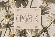 Classy Decorative Font - CRINGELIA, a Font by CreativeFolks (Thumbnail 3 of 11)