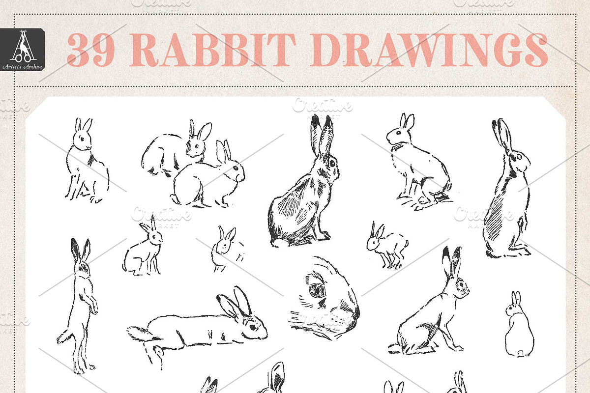 Rabbit Drawings, an Animal Illustration by Lizzy Dee Studio