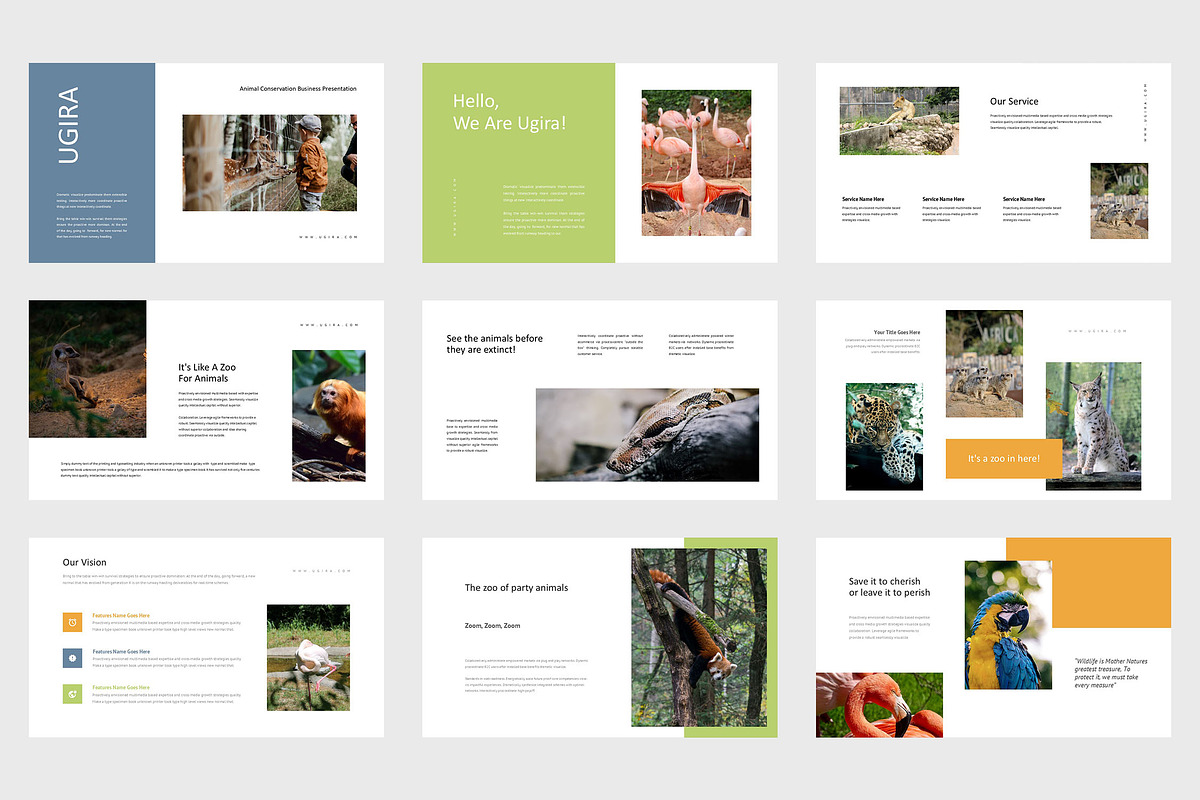 Ugira : Wildlife Care Google Slides, a Presentation Template by Punkl Camp (Photo 2 of 9)