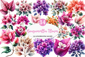 Bougainvillea Flower Clipart Bundle, an Illustration by Watercolor design