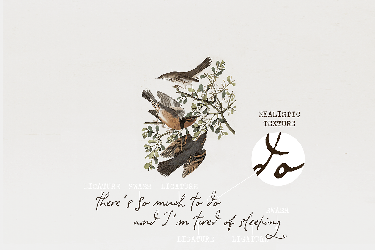 Typewriter and Script font pack, a Font by Ana's Fonts (Photo 19 of 19)