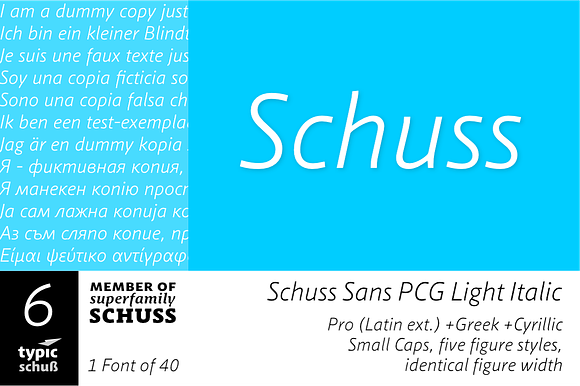 SchussSansPCGLightIta No.06 (1 Font) preview 6