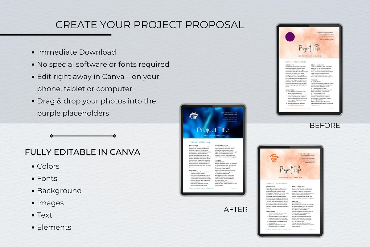 Professional Project Proposal Deck preview 8