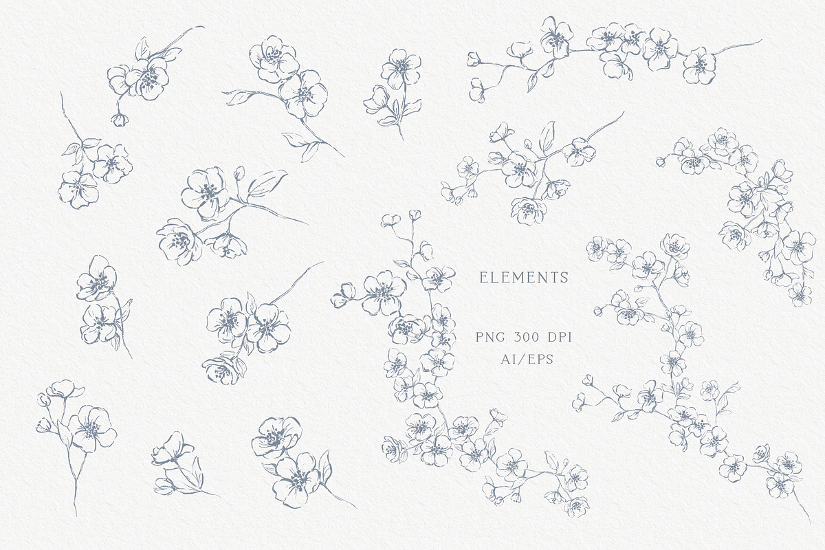 Cherry Blossom Vector Bundle, an Object Illustration by Sensual Art (Photo 2 of 7)