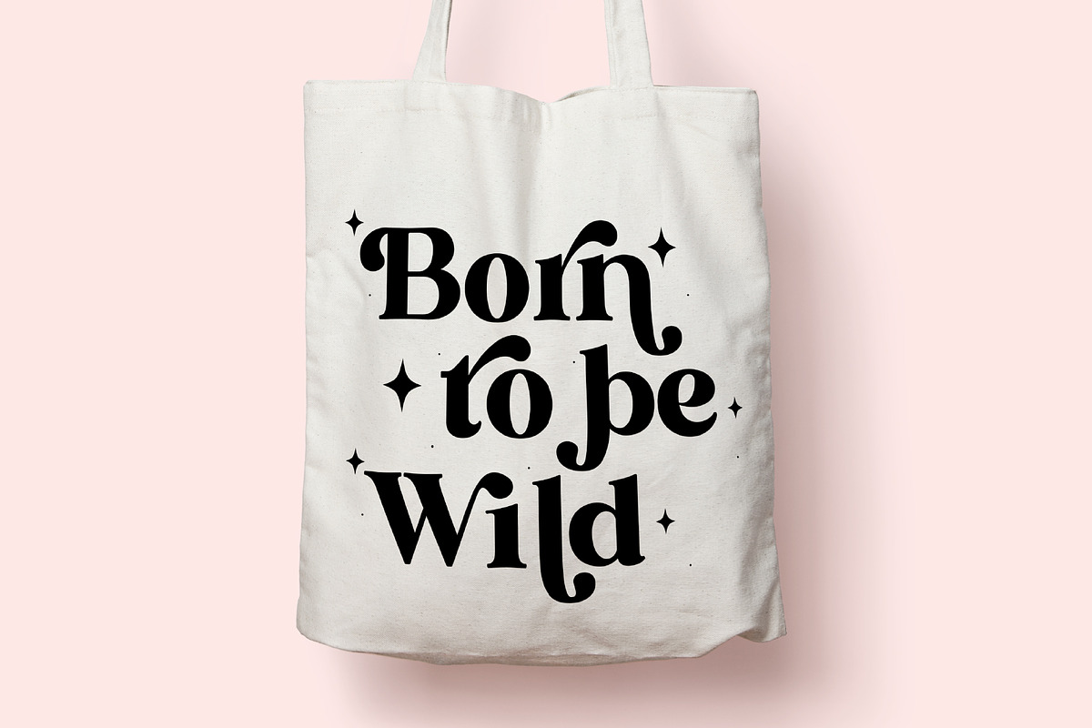 The Modern Serif Font Bundle, a Serif Font by Prestige Artsy Studio (Photo 3 of 10)