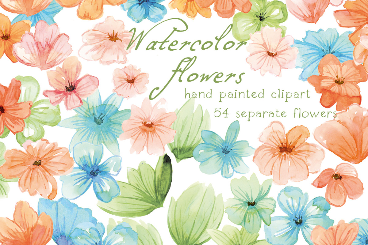 Watercolor Flowers, Floral, an Illustration by swiejko (Photo 1 of 2)