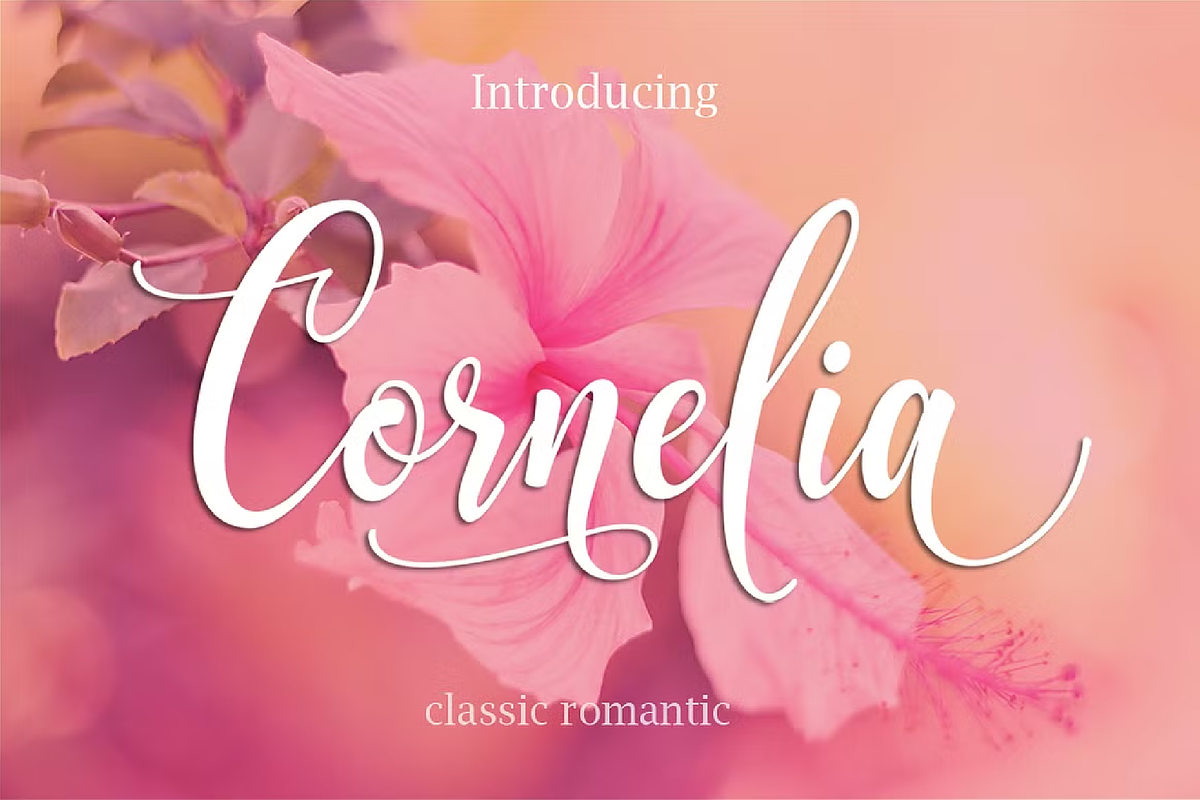 Elegant Script Font Bundle, a Script Font by Byuly Ayika (Photo 14 of 34)