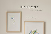 Watercolor Wildflowers Collection, an Illustration by Alisha Gronska (Thumbnail 10 of 10)