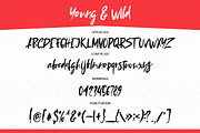 NEW! Young & Wild Brush Font, a Script Font by Wewhitelist (Thumbnail 2 of 9)