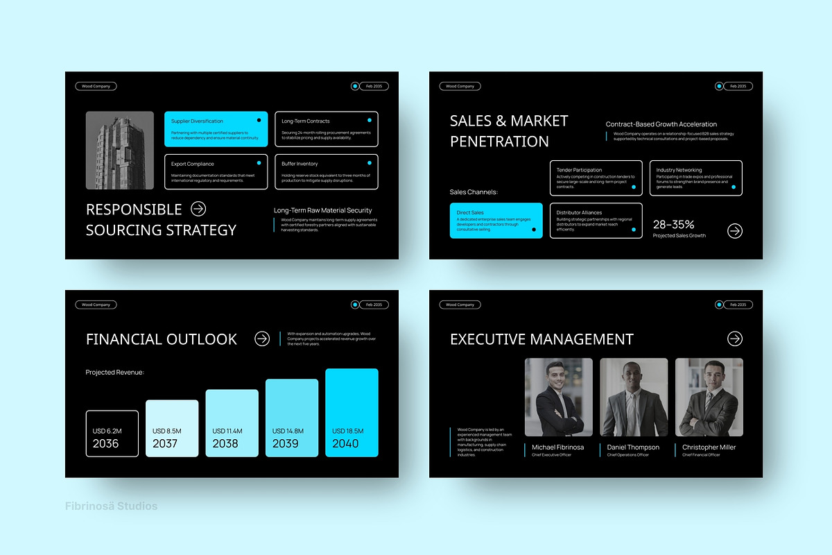 Business Plan Template, a Presentation Template by FIBRINOSÄ (Photo 3 of 7)