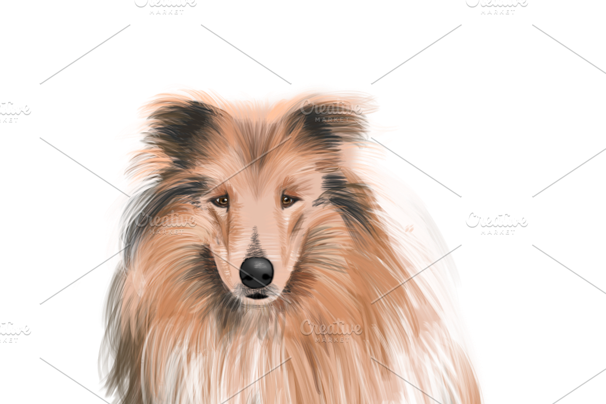 Dog Illustrations - Hand painted, an Animal Illustration by Papaya (Photo 4 of 7)
