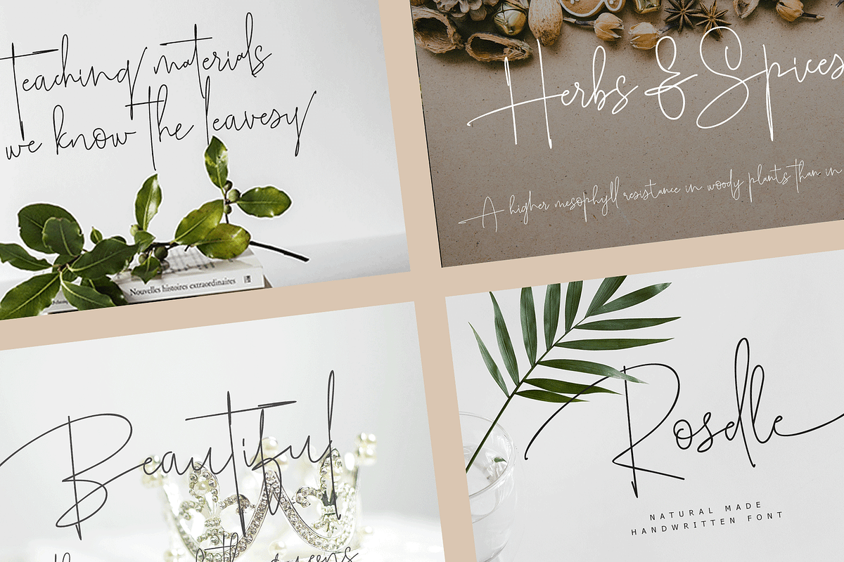 Calligraphy Special Bundle preview 3