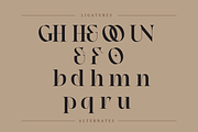 Faghe Modern - Elegant Logo Font, a Serif Font by Nirmana Visual (Thumbnail 7 of 10)