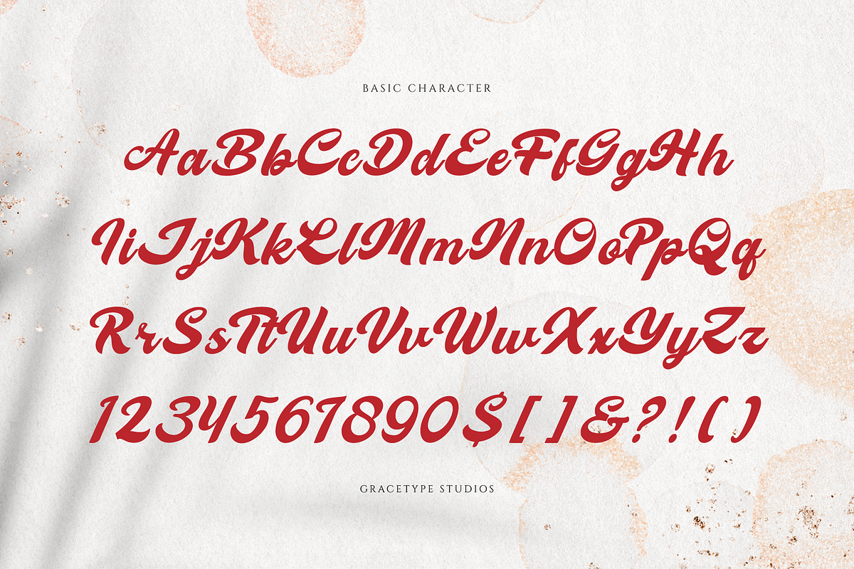 Melcostra | Handwritten Bold Script, a Script Font by gracetype_studio (Photo 10 of 12)