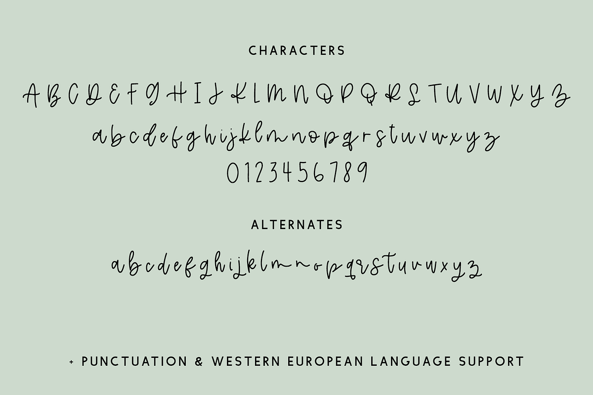 Pineblossom Script, a Handwritten Font by Beck McCormick (Photo 8 of 8)