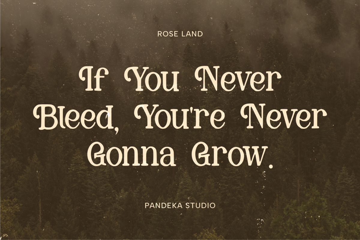 Rose Land - Elegant Handmade Serif, a Serif Font by Pandeka Studio (Photo 3 of 9)