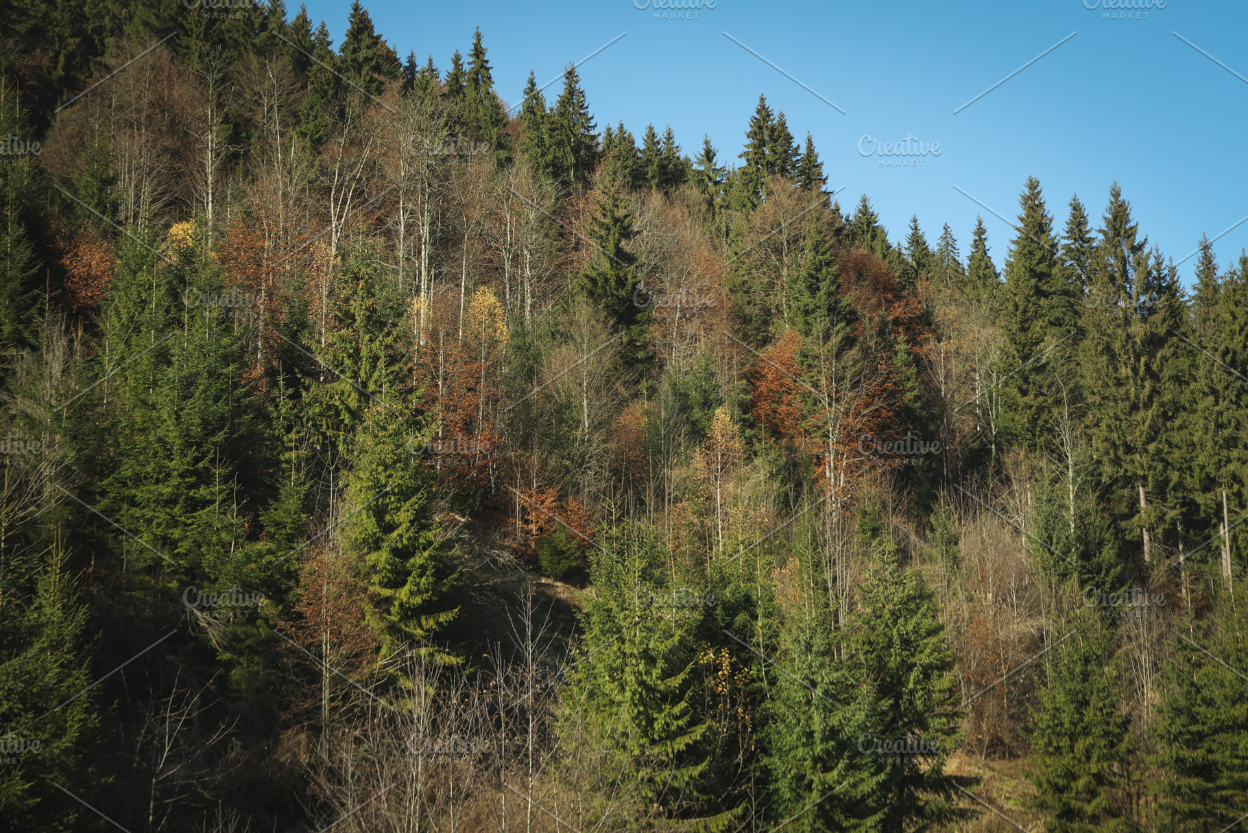 Photo of beautiful Carpathian views in Ukraine, a Nature Photo by AtlasStudio PRO