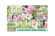 Floral Botanical Background Images, a Background Photo by kristiangallagher (Thumbnail 5 of 5)