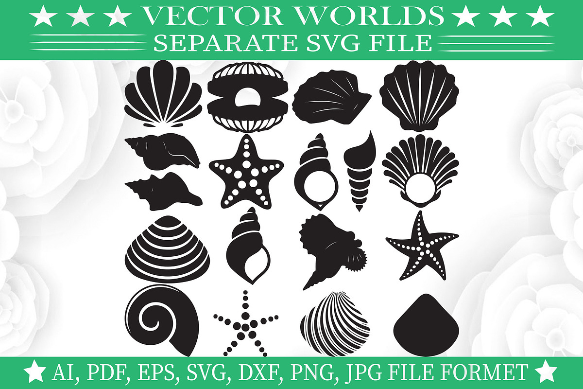 Seashell Svg, Sea, Ocean, Water Svg, an Object Graphic by VectorWorlds