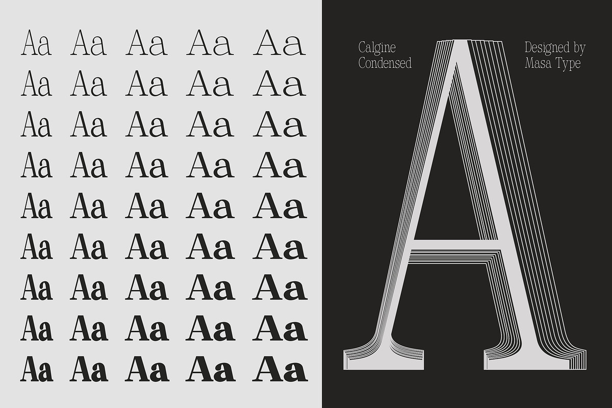 Calgine Serif, a Serif Font by MasaType (Photo 11 of 12)