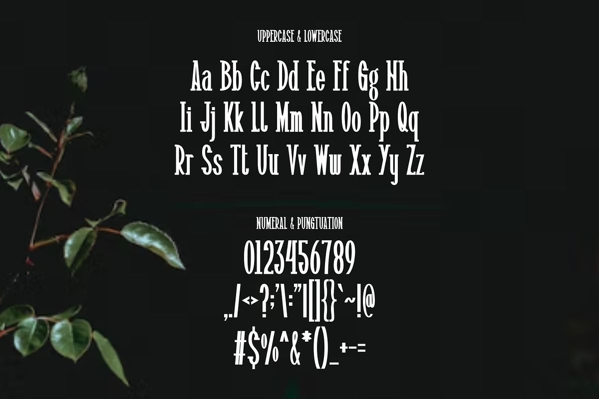 Haidrus, a Serif Font by lelevien (Photo 3 of 5)