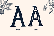 Wildrose - The Vintage Letterpress, a Serif Font by Graphicfresh (Thumbnail 6 of 7)