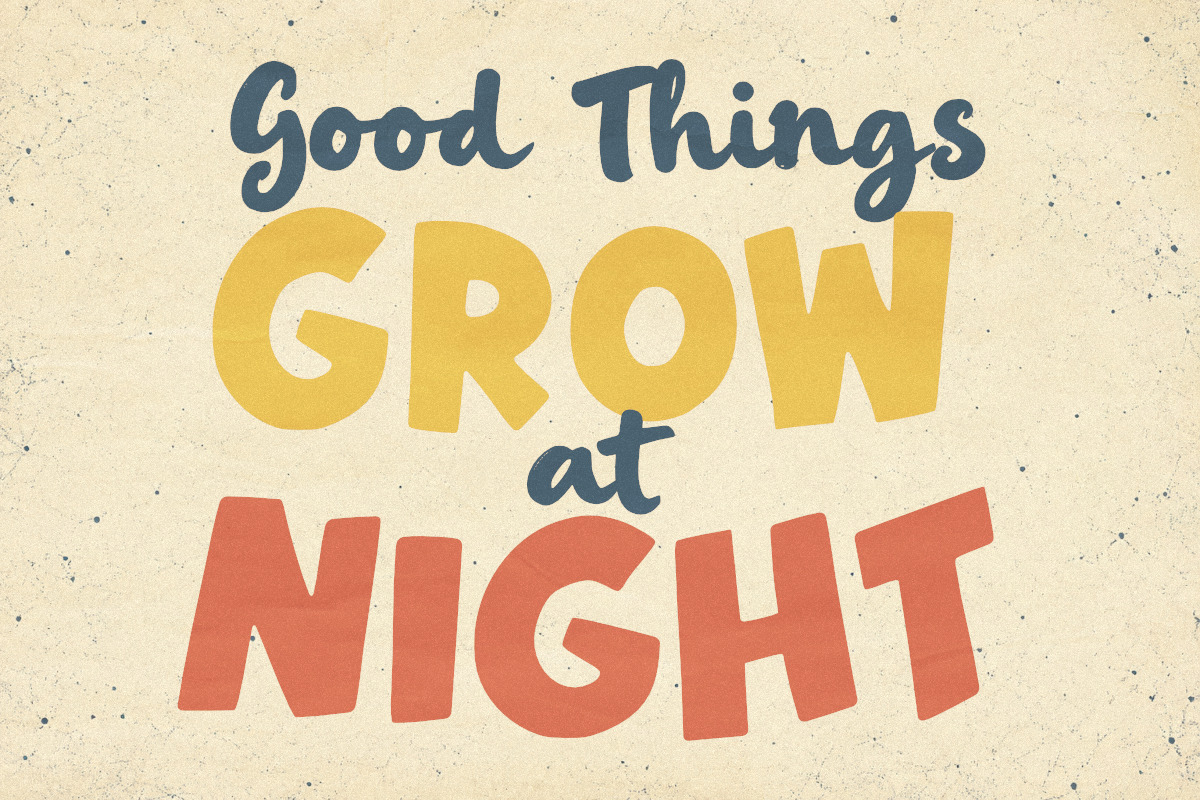 Midnight Pumpkin - Font Duo, a Sans Serif Font by Rillatype (Photo 2 of 10)