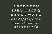 Silverado, a Slab Serif Font by Bruised Goods (Thumbnail 5 of 11)