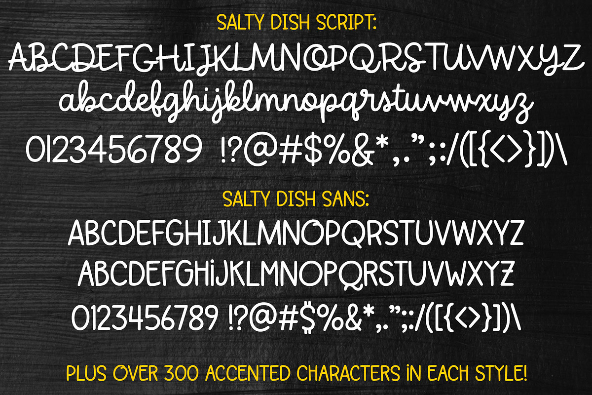 Salty Dish font duo, a Sans Serif Font by Missy Meyer (Photo 2 of 8)