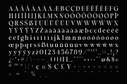 Malgio - Modern Serif, a Serif Font by Almeera Std (Thumbnail 3 of 6)