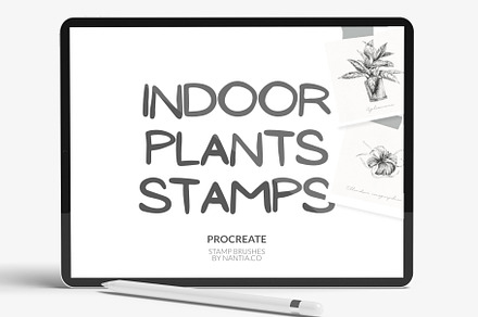 Procreate Brushes 27 Indoor plants