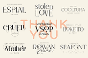 Just Type Bundle Vol.01 - 300 fonts, a Serif Font by VP Fonts (Thumbnail 19 of 19)