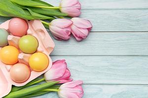 Pastel colored easter eggs and pink tulips creating festive bord, a Holiday Photo by Olena Rudo