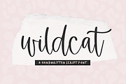 Wildcat | Handwritten Script Font, a Script Font by KA Designs (Thumbnail 1 of 13)