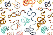 Snakes set and seamless, an Animal Illustration by Good Studio (Thumbnail 6 of 10)