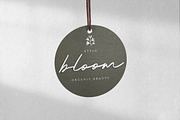 Rastin Signatures font, a Script Font by Madjack.font (Thumbnail 5 of 7)